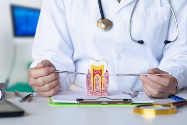 Best Emergency Dental Care for Broken or Chipped Teeth in Palo, IA
